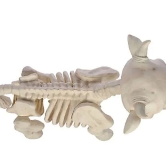 Halloween Skeleton Cow - Picture 3 of 3